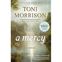 Buy A Mercy (Vintage International) Book Online at Low Prices in